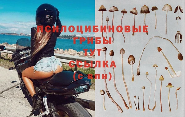 сатива Наволоки