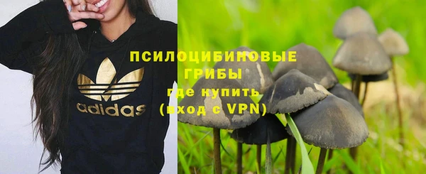 сатива Навашино