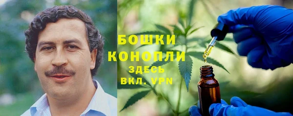 гидра Анива