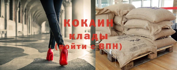 гидра Анива