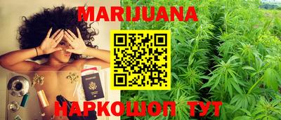 прущие крисы Кингисепп