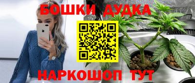 эйфоретик Жуковский