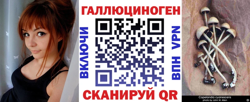Галлюциногенные грибы Psilocybine cubensis  сайты даркнета какой сайт  Янаул 