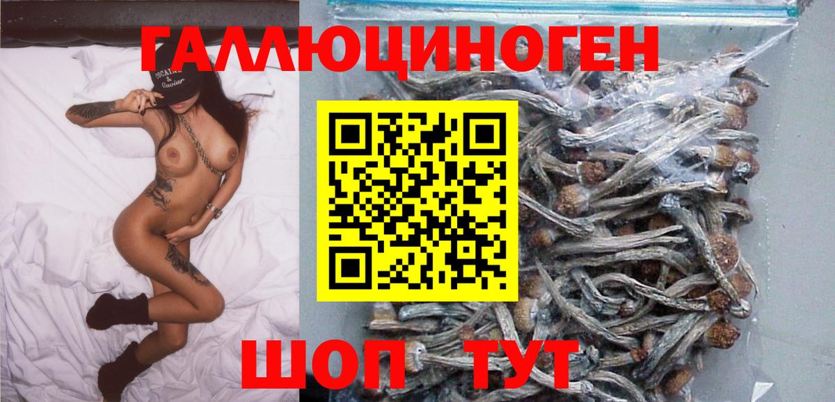 Янаул  Галлюциногенные грибы Psilocybe  Вход с VPN 
