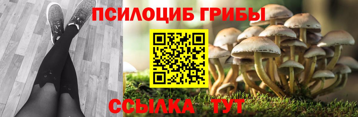 Псилоцибиновые грибы Psilocybe Янаул